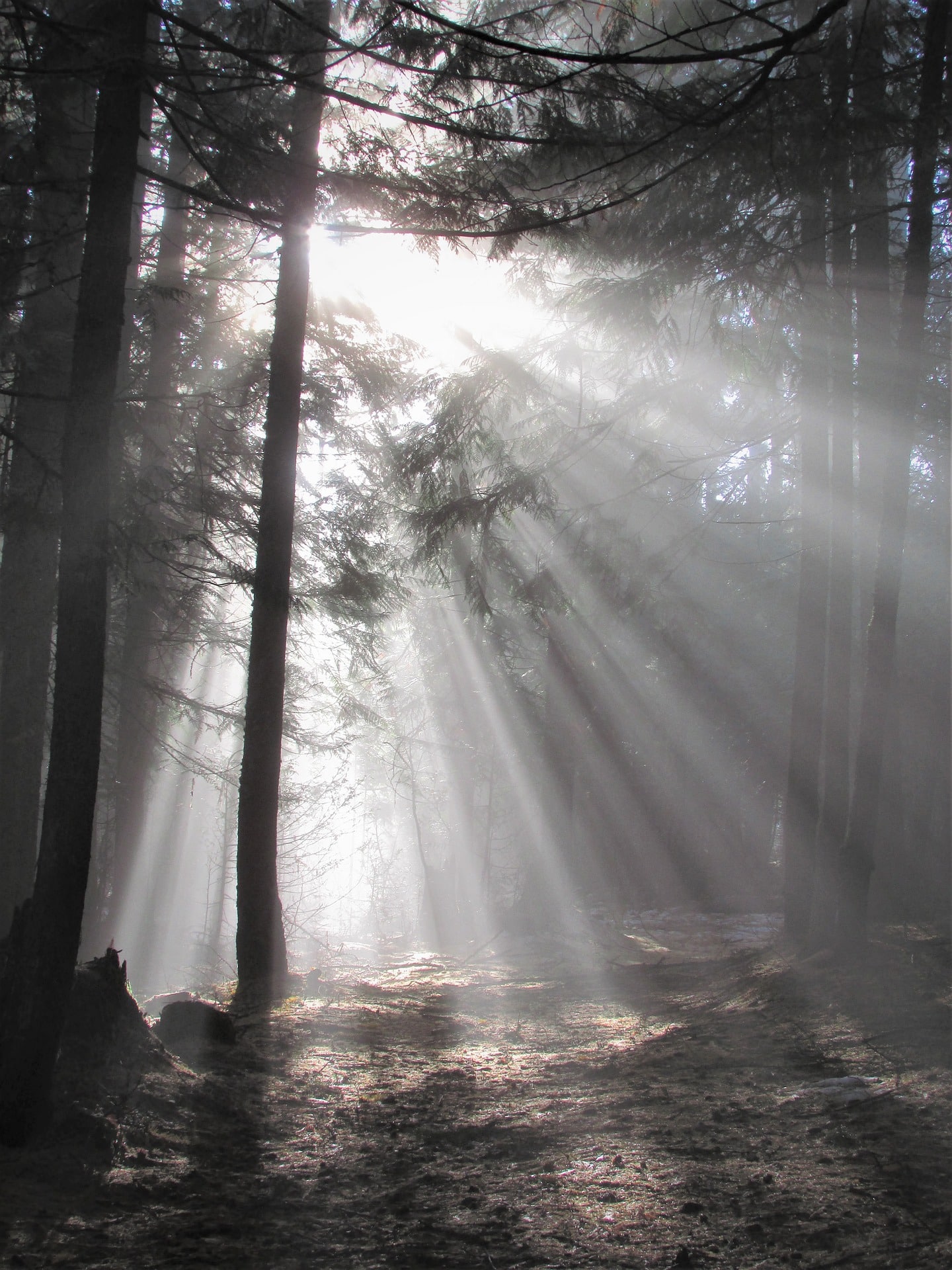 light, sun, lume, licht, geloof