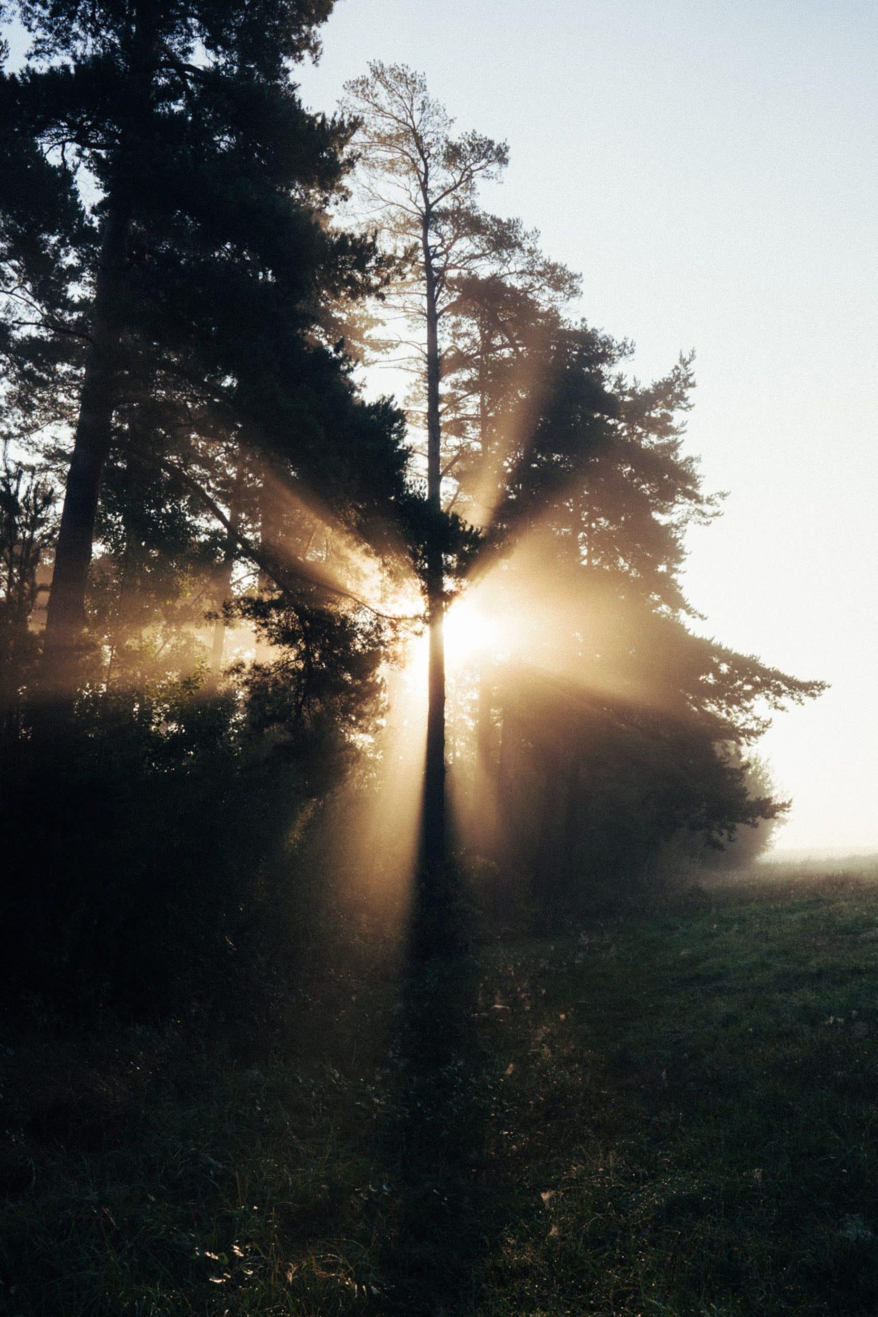 licht, light, jesus, jezus