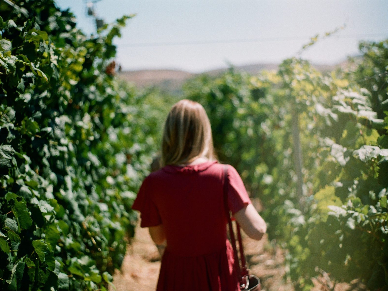 Lume, Woman, Corona