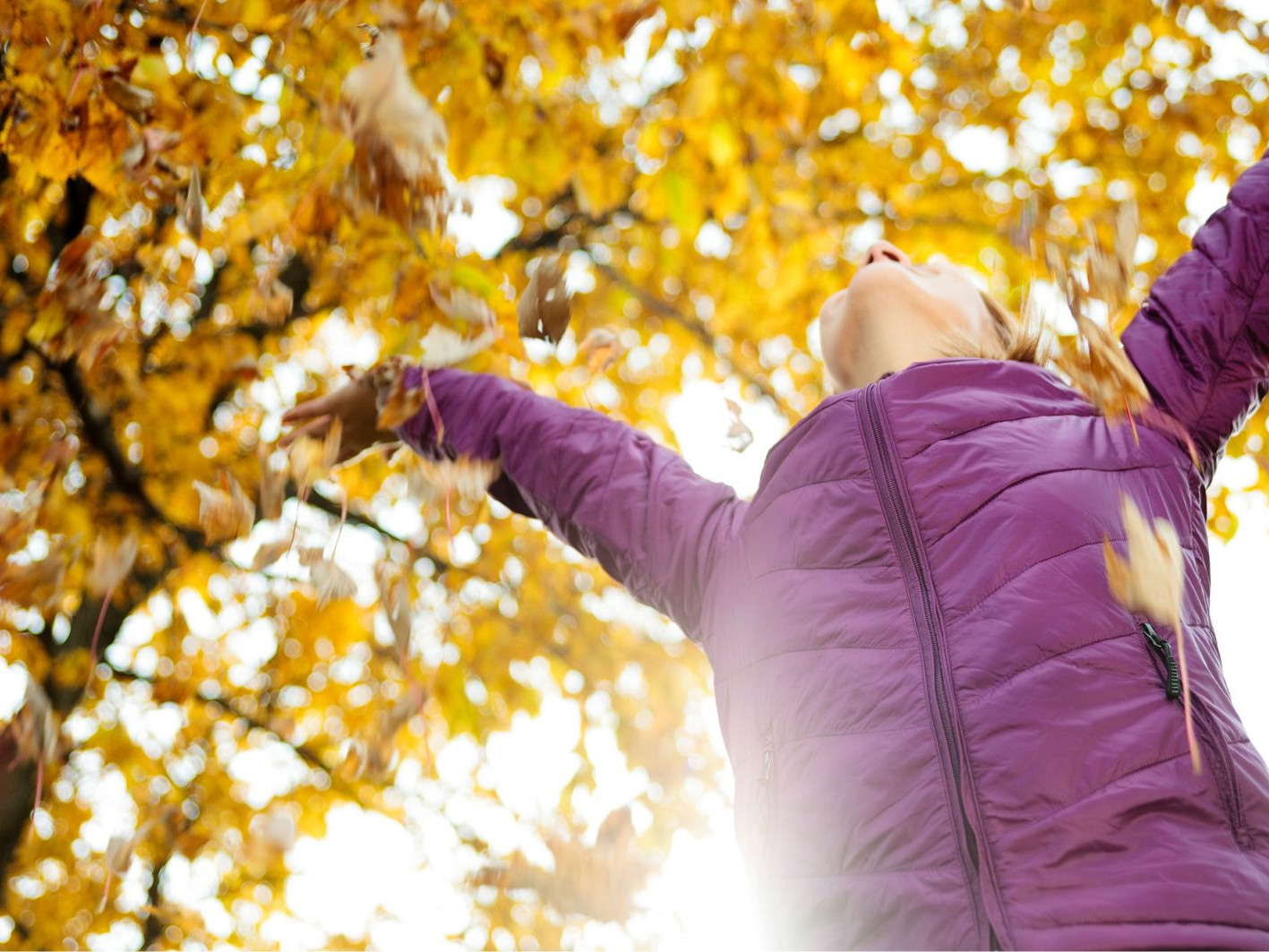 herfst, licht, vrouw